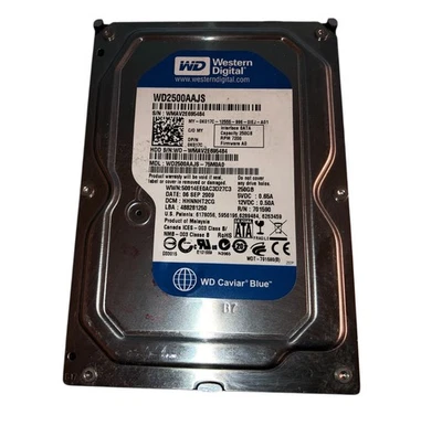 Hard disk WD2500AAJS-75M0A0 Western Digital Caviar Blue 250GB 7200RPM SATA 3Gbps - Immagine 1 di 2