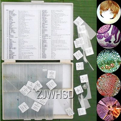 Microscopio de ciencia básica preparado para vidrio 100 piezas diapositivas muestra biología patología Foto 1 de 4