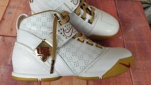 sehr seltene Nike ZOOM LeBron V Größe: UK 7 US 8 EUR 41 TOP Zustand - Bild 1 von 11