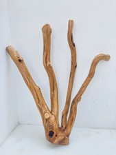 Manzanita Fish Aquarium  Reptile Terrariums Bird Perch Home Decor Driftwood #117