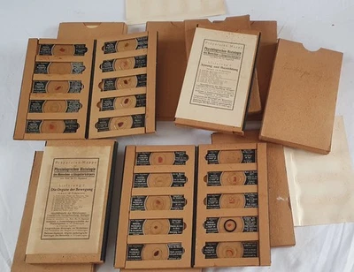 77 LAMES MICROSCOPES CORPS HUMAIN-MAMMIFERE MEDECINE PROF SIGMUND 1920 ALLEMAND - Photo 1/4