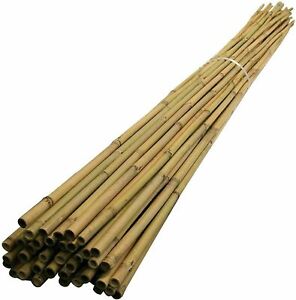 10 x 6FT (14-16mm) Bamboo Canes/Stake/ Pole Garden Plant Flower Support Stick