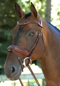 Trensenzaum Dyon Dressage Snaffle Med. Comfort Flash Noseb. schwarz VB REDUZIERT - Bild 1 von 1