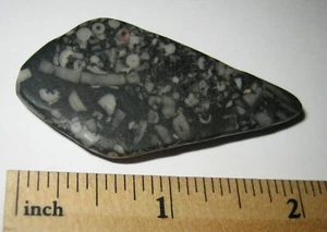 2" TUMBLED NATURAL CRINOID MARBLE FOSSIL STONE FROM THE OCEAN FLOOR ~ 14.1g *16 - Picture 1 of 2