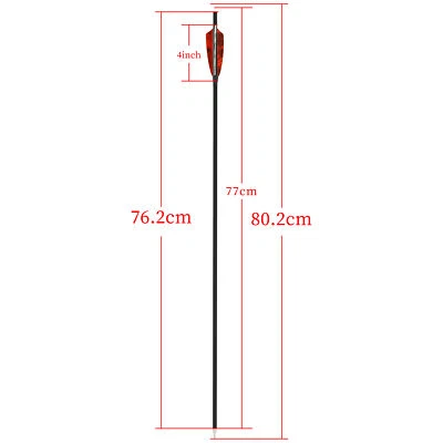 30" Carbon Arrows SP500 4" Natural Feather Screw Points Bow Hunt Archery Shoot - Image 1 of 4