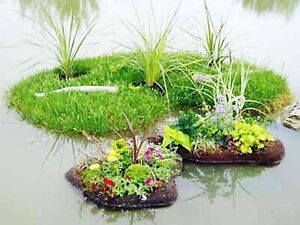 15 Teichpflanzen Wasserpflanzen für schwimmende Pflanzeninsel  Teichinsel  