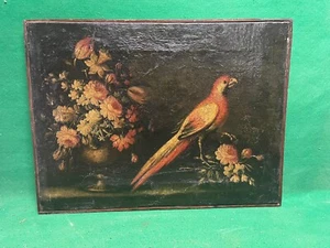 quadro dipinto ad olio di pappagallo e natura morta antico 700 piemontese - Foto 1 di 15