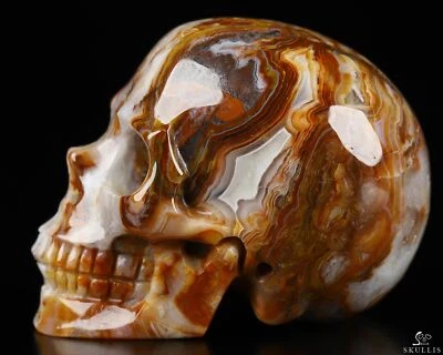 Calavera de cristal tallada a mano de ágata de encaje loco rojo de 2,0", realista Foto 1 de 4