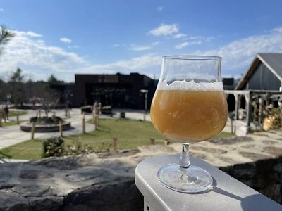 Tree House Brewing Embossed Custom Beer Glass Available at the Brewery Only - Image 1 of 4