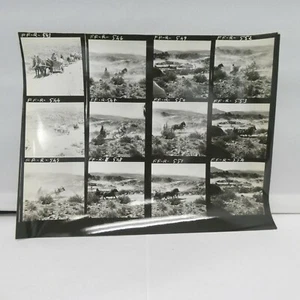 A Funny Thing Happened On The Way To The Forum 8.5x11 Orig Cont Sheet Photo 1965 - Picture 1 of 2