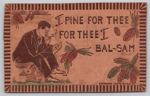 Pine For Thee Balsam Leather Postcard 1907 Man Reading Motto Postcard - Picture 1 of 2