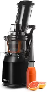 Powerful Masticating Juicer Fruits Vegetables Fresh Healthy Juice Sorbet Ice Cre - Picture 1 of 7