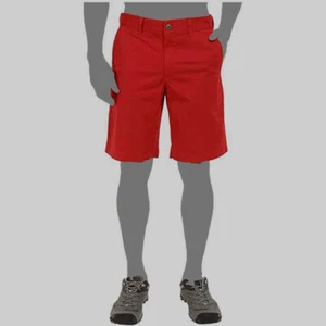 $64 The North Face Men's Red Chino Flat Front The Narrows Casual Shorts Size 32 - Picture 1 of 2