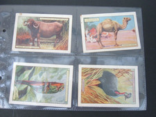 Players -  Natural History 2nd Series ( 1924- Large).   Set of 12  in Sleeves