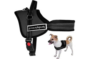 Pettorina Cane Taglia Grande 70-90cm Guinzaglio Catarifrange Animali - Foto 1 di 3