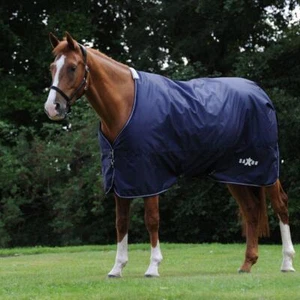 Saxon Defiant 600D Standard Neck 0g Turnout Rug - Navy/White - Picture 1 of 1