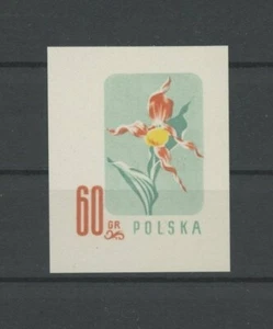 POLAND FLORA 1957 PROOF !! RARE !! FLOWERS ORCHIDS ORCHID ORCHIDEEN m5010 - Picture 1 of 2