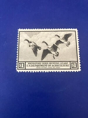 #RW3 1936 - Selo Federal de Pato dos EUA - Estado perfeito, sem marca de charneira - Imagem 1 de 2