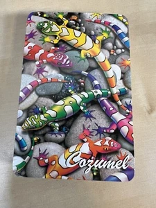 Baraja de cartas de Cozumel coloridos lagartos gecko en rocas abierta limpia sin usar - Imagen 1 de 6