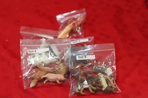 Vintage - Safari Ltd Animals - Collectables - DROP DOWN MENU - RARE - VGC - Picture 1 of 46