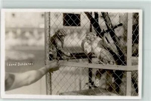 39281413 - Mono - Imagen 1 de 2