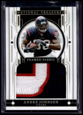 2023 Panini National Treasures Andre Johnson #3 Framed Fabric Holo Gold /10 - Image 1 of 2