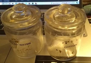 2 VINTAGE GLASS JARS WITH GLASS LIDS LABELED BOILED WATER AND COTTON - Picture 1 of 5