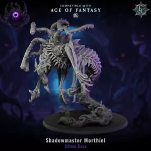 Shadowmaster Morthiel | Fleshcraft Studios | 28 mm RPG D&D miniatura stampata in 3D - Foto 1 di 2
