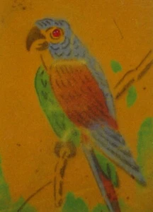 Vintage Novelty Squeaker Parrot Postcard Macaw Flocked Painted Germany 1910's - Picture 1 of 4