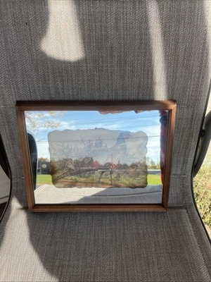 Cuadro de faisán espejado de colección Foto 1 de 4