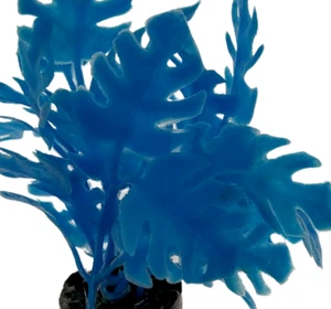 Aquarium Aqua Mini Plant miniature Blue Decor Culture Bright Artificial Base New - Picture 1 of 13