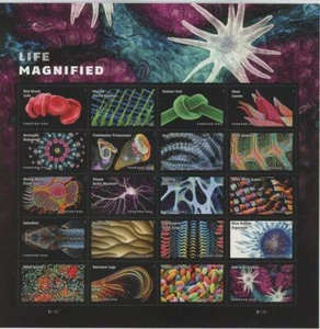 US SCOTT 5802 SHEET OF 20 LIFE MAGNIFIED STAMPS FOREVER MNH - Picture 1 of 1