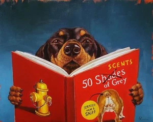 50 Scents of Grey Lucia Heffernan Dog Art Print 15x12 - Imagen 1 de 1