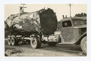 Log Hauling on the Oregon Coast Highway B&W RPPC Postcard Logging - Picture 1 of 2