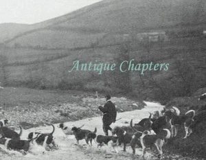 Llanrhaeadr Mochnant Otter Hunting Buckley Otter Hounds 1906 3pp Photo Article - Picture 1 of 4