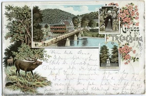 Litho-AK Gruss aus TRESEBURG /THALE /HARZ mit Hotel FORELLE 1897 !! - Picture 1 of 1