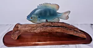 Pesce Driftwood Resina Nautica Spiaggia Costa Decorazione Oceano/Branchia Blu 15 3/4" Lunghezza - Foto 1 di 4
