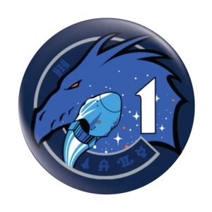 NASA Crew-1 Mission Patch Button Badge 58mm (2.25") Spacex NASA Commercial Crew - Picture 1 of 2