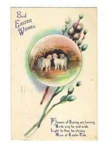 1918 Singed Clapsaddle Wolf #21 Postal de Pascua Baby Lambs - Imagen 1 de 2