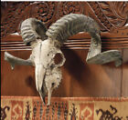 Exotic Corsica Ram faux sculpture wall trophy hunting gallery home decor
