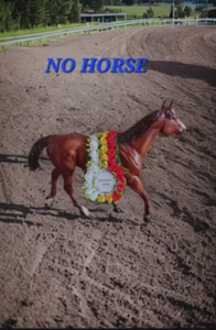 NO HORSE Breyer Horse Justify garland custom made - Picture 1 of 4