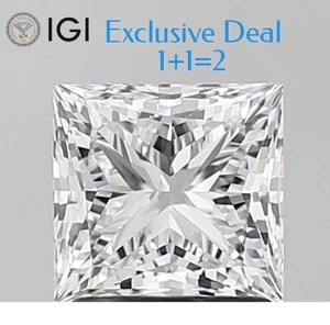 2pcs Lab Grown Diamond IGI Certified CVD 2.00 TCW  Princess Cut D Color VS1 - Picture 1 of 14