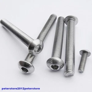 Tornillos de lente ISK acero inoxidable A2 ISO 7380 cabeza de lente M3 M4 M5 M6 M8 M10 M12 - Imagen 1 de 1