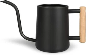 Watering Can for Indoor Plants, 35 oz/1000 ml Metal Stainless Steel Pot (Black) - Picture 1 of 7