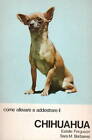 Come Allevare E Addestrare Il Chihuahua - Cane - Cani - Cinofilia