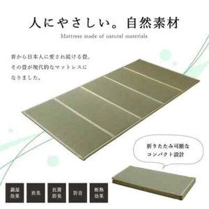 IKEHIKO Tatami Matratze japanisches Rushgras 100×200 Doppelklappbett - Bild 1 von 7