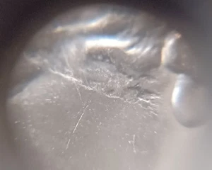 2024 P Reverend Dr. Pauli Murray Quarter Struck Through Foreign Object Error - Picture 1 of 4