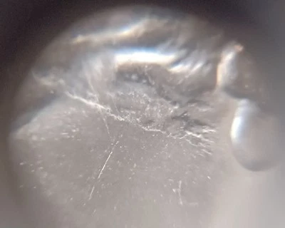 2024 P Reverend Dr. Pauli Murray Quarter Struck Through Foreign Object Error - Image 1 of 4