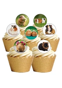 Cake Toppers Cute Guinea Pig Pet Animal 24 Pre cut Round Edible Wafer Paper - Picture 1 of 9