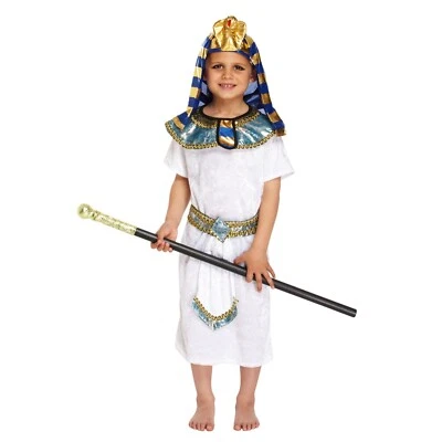 White Egyptian Pharaoh Roald Fancy Dress Costume Boys Outfit School Book Week - Image 1 of 4